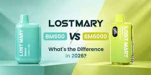Lost Mary BM600 vs BM6000: What's the Difference in 2026?