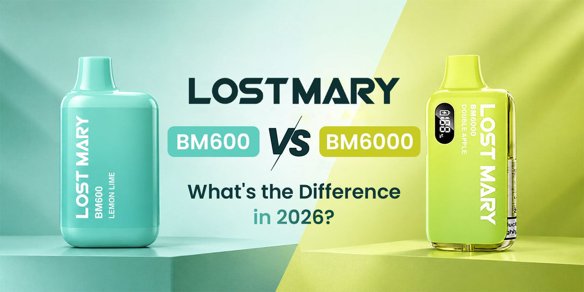 Lost Mary BM600 vs BM6000 difference.