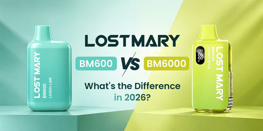 Lost Mary BM600 vs BM6000: What's the Difference in 2026?